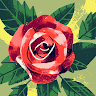 Beebe's profile image