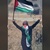 Mona A. Alhmeidi-abueteen's profile image