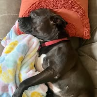 Lisa Grubbs's profile image