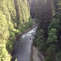 Kathleen Flaherty's profile image