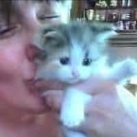 Jody Evans ND's profile image