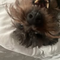 Nan Byers Friel's profile image