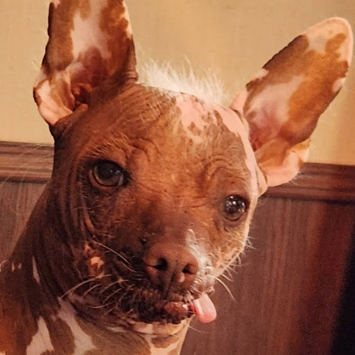 tammy myers's profile image