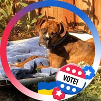 Michell K Philips's profile image