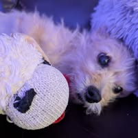Peter Wusow's profile image