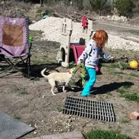 Holly Hewitt Cantu's profile image