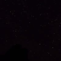 Lupie Lupie's profile image