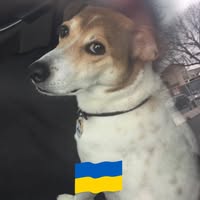 Silvana Ferrari's profile image