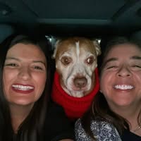 Adele Torres's profile image