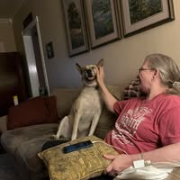 Debbie Graham's profile image