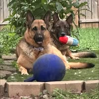 Brandye Baer's profile image