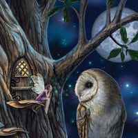 Sarah Schwinn's profile image