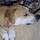Ann Fitts's profile image
