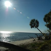Ben Migliaccio's profile image
