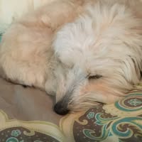 Lynn Paxson's profile image