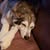 Pam Weis Darby's profile image