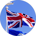 Irene Shaver's Profile Image