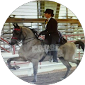 Profile Photo of Tracy Dowson