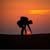 Maria Barrera's profile image