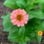 Anna Harrison's profile image