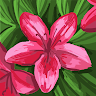 Nico N.'s profile image