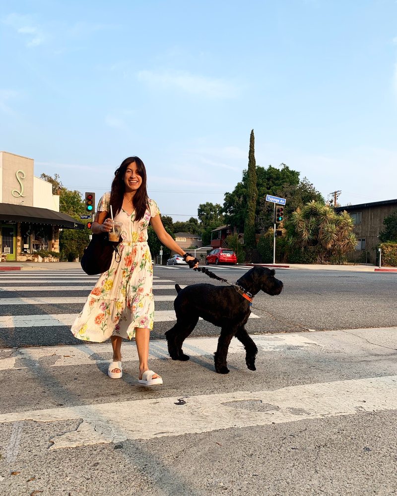 Xiomara D.'s profile image