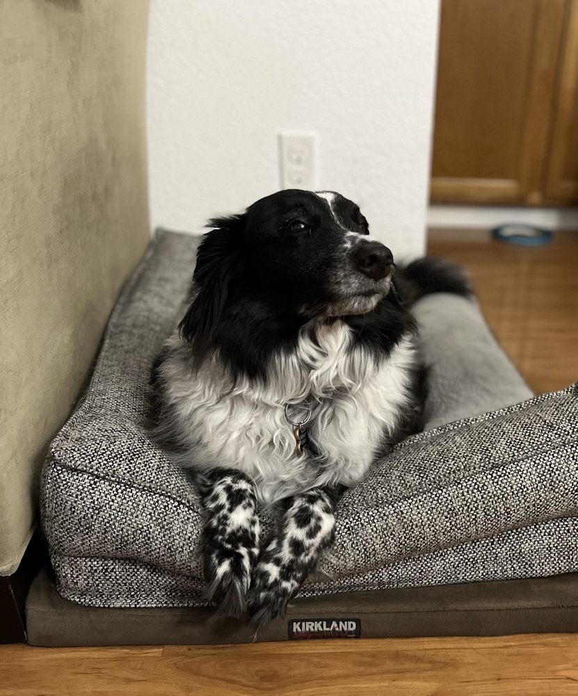 Romella D.'s profile image