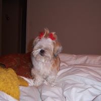 Lorraine F.'s profile image