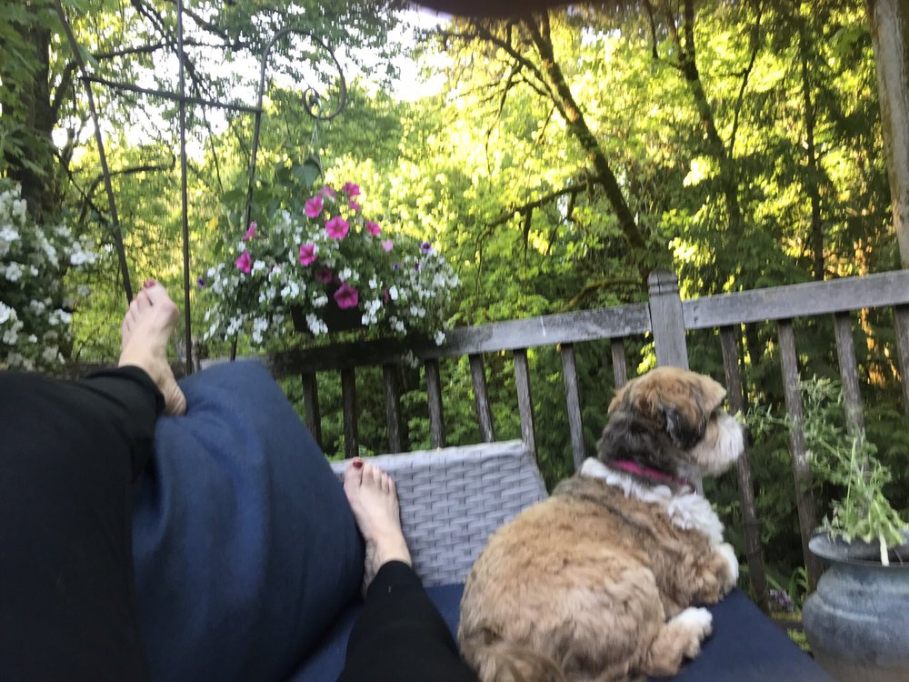 Susie T.'s profile image