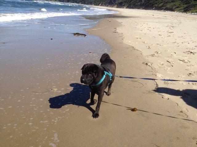 Frank C.'s profile image