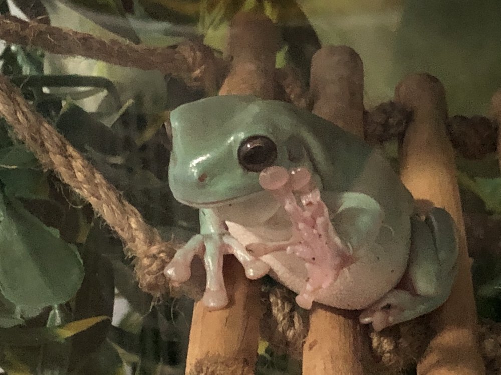 Scott S.'s profile image