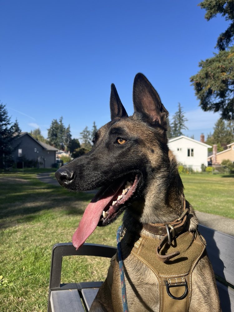 A R.'s profile image