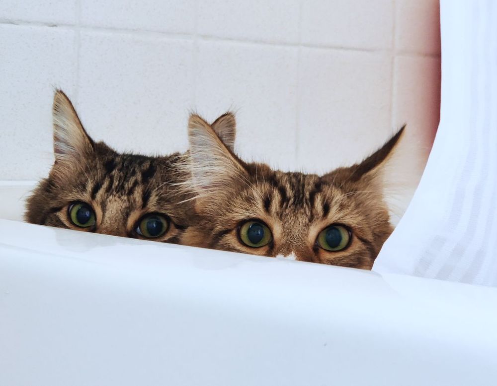 Michele W.'s profile image