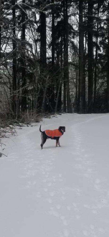 Ramona S.'s profile image