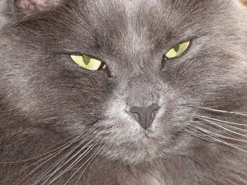 Katy Jo V.'s profile image