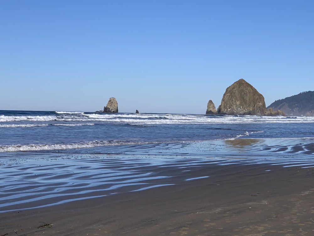 Nicole T.'s profile image