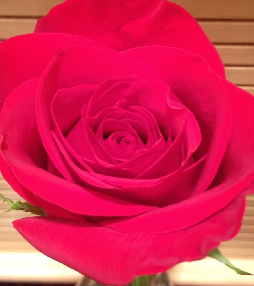 Kier H.'s profile image