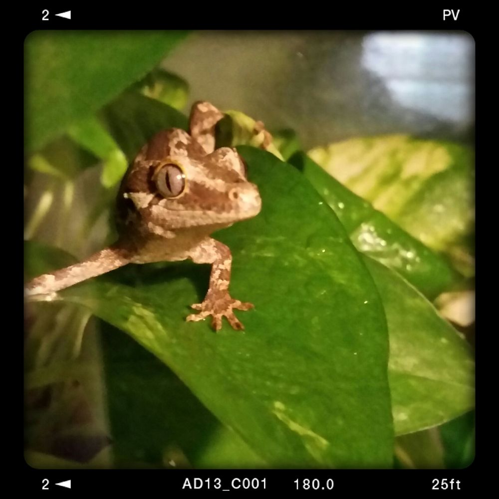 S W.'s profile image