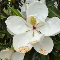 Teri Gajewski Horsley's profile image