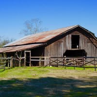 Jane C. Long's profile image