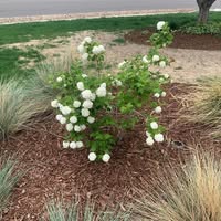 Mary S. Jones's profile image