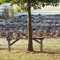 Mark Ray's profile image