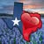 Lupe Tolson's profile image