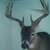 Dave Schmidt's profile image