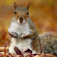 Kristin Hill May's profile image