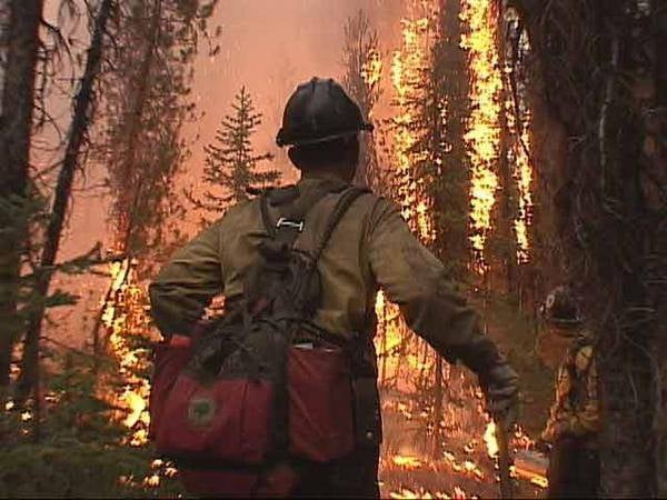 Johnny T.'s profile image