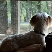 Vicki Lawson's profile image