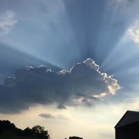 Randy Morgan's profile image