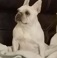 Casey Coley's profile image