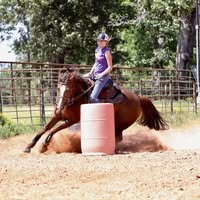 Jody Baton's profile image